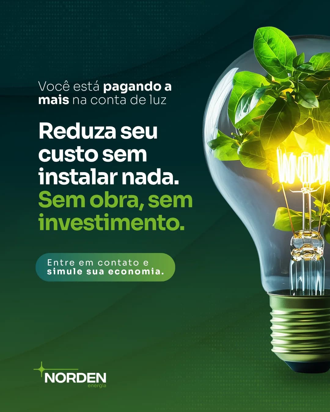 Criativo verde da Norden Energia com lâmpada e chamada para reduzir o custo de energia.